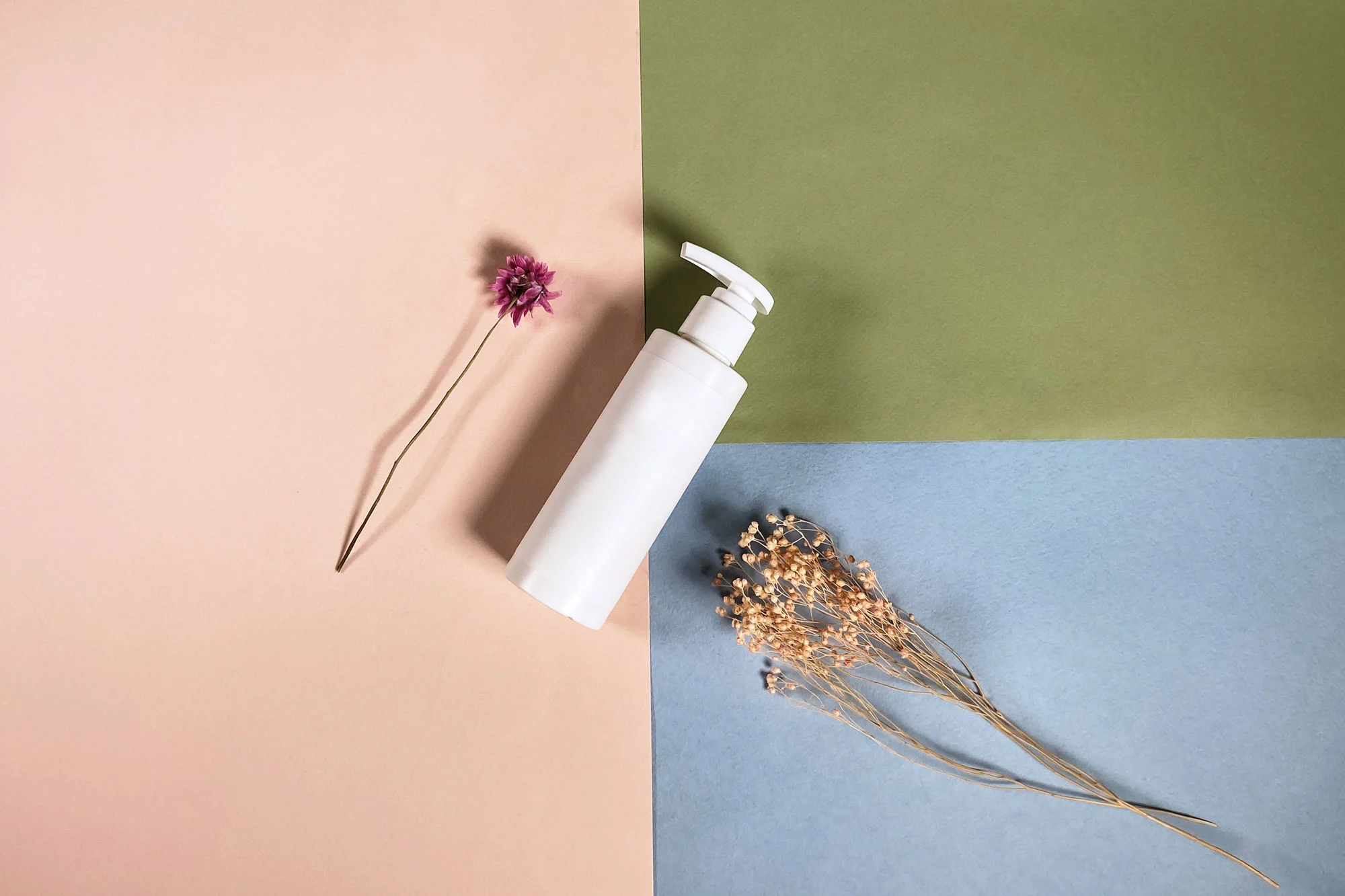 Top View Of White Plastic Bottle And Dried Plants 2026 01 05 05 48 51 Utc2 1